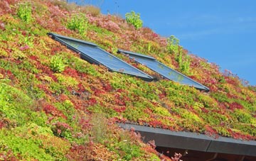 Frandley living roof systems