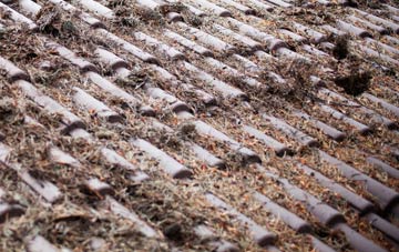 Frandley roof cleaning companies