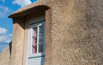 Frandley thatch roof disadvantages
