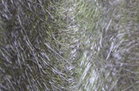 Frandley fibreglass roof work