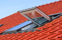 Frandley roof window